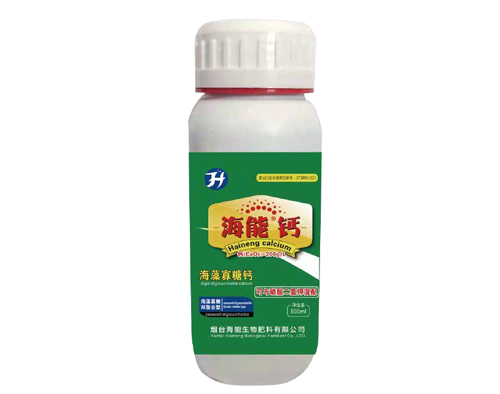 大香蕉免费小视频钙