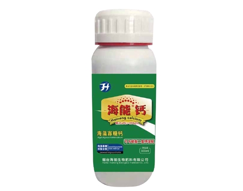 大香蕉免费小视频钙