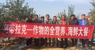 苹果树12月管理技术要点！抓紧时间看