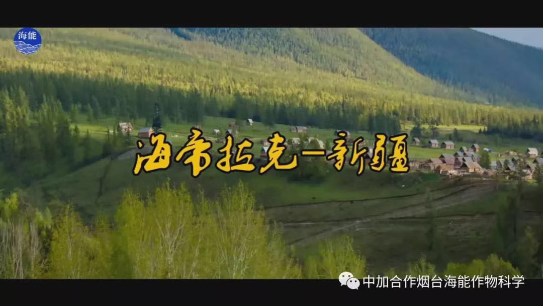 颗粒水溶肥