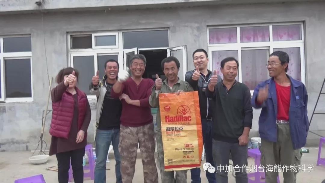 颗粒水溶肥