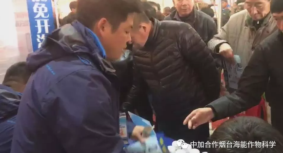 大香蕉免费小视频生物带你玩转烟台苗木会