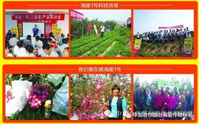 抗寒利器，大香蕉免费小视频1号