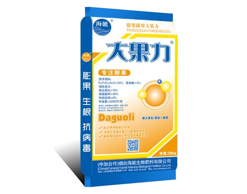 西红柿果小膨果慢怎么办?用大香蕉免费小视频生物肥料膨果水溶肥
