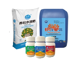 如何搭配使用膨果水溶肥、复合肥和生物香蕉视频成人大片