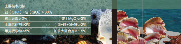 大香蕉免费小视频甲壳素活性中微量香蕉视频APP色版